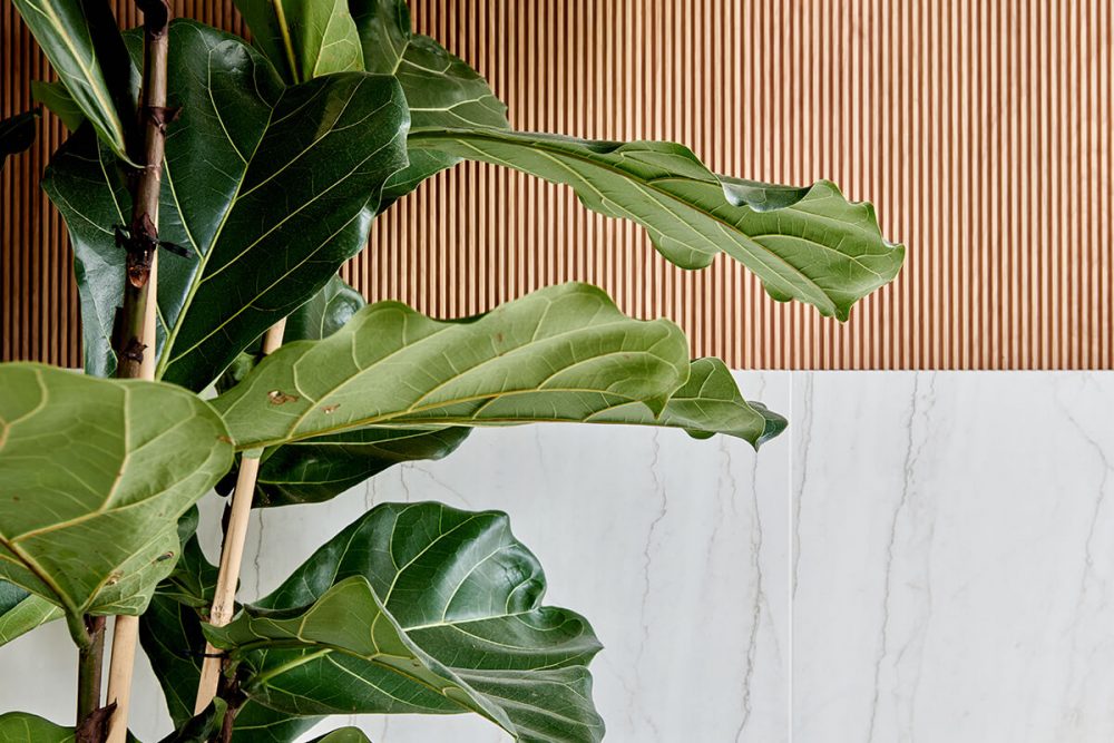 Fotografía de interiorismo en Cosentino City Bilbao realizada por Luis García Craus